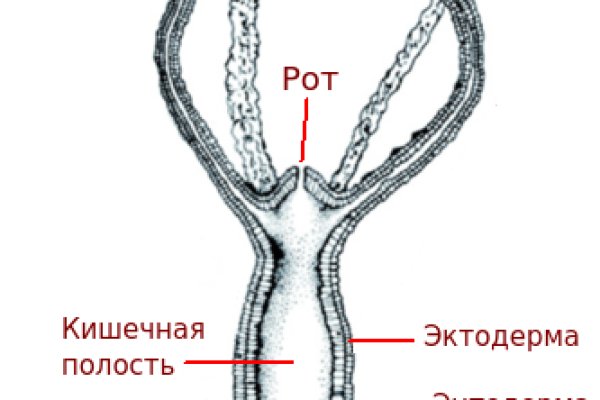 Кракен зеркало на тор