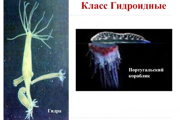 Сайты с наркотиками
