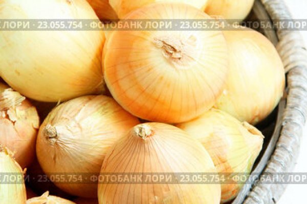Darknet как войти