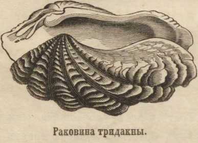Сайт кракен рабочая ссылка
