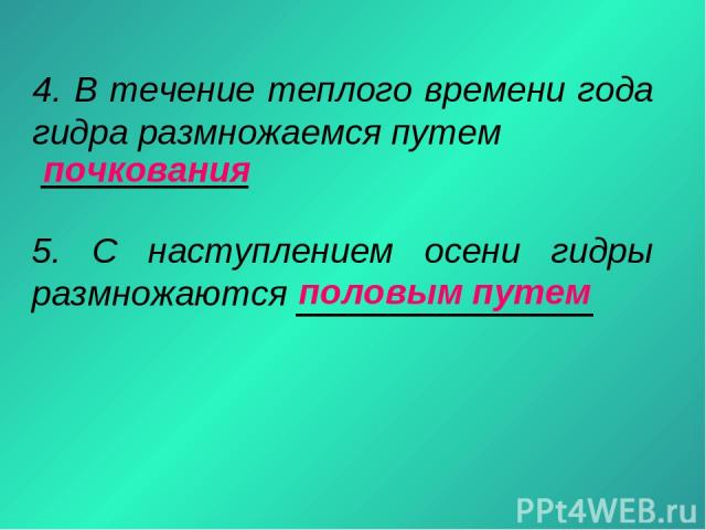 Ссылка на кракен оригинал